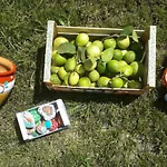 Punta Bianca & Experience 4*