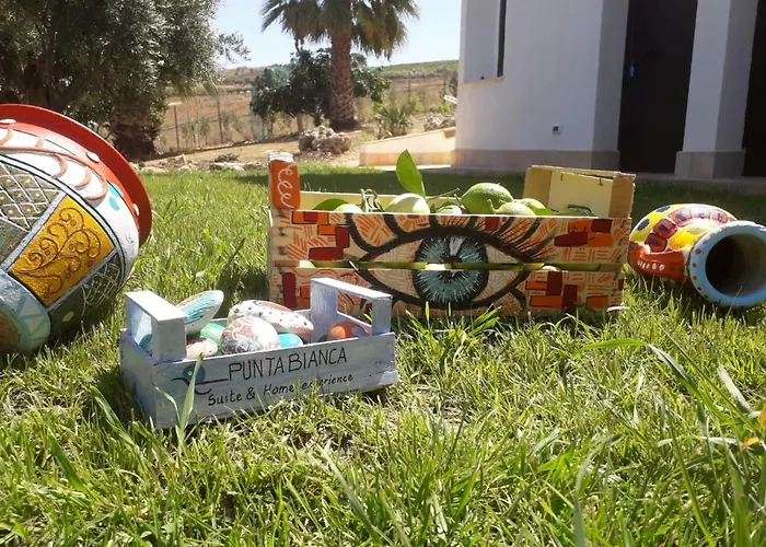 Nocleg ze śniadaniem Punta Bianca & Experience 4*