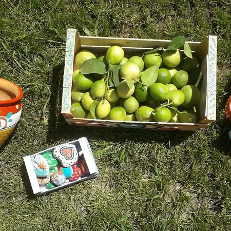 Punta Bianca & Experience 4*